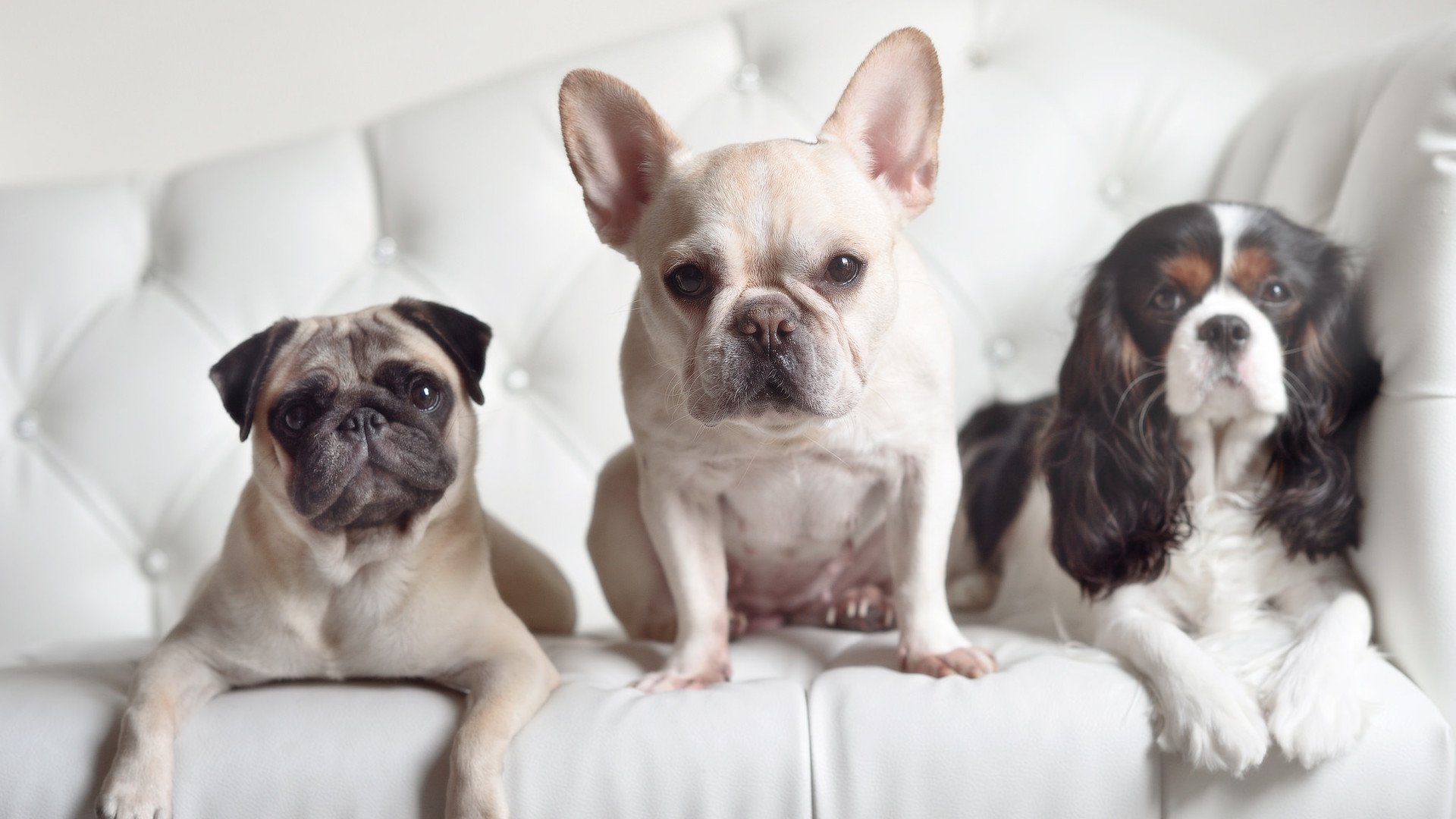 一分之差，满分答案，当拉满的评分也量不出保罗的赛场魔法