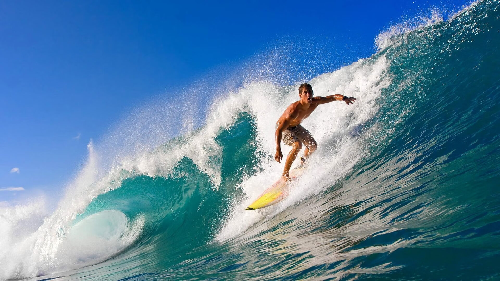 破晓时,我们掀翻了黄金权杖