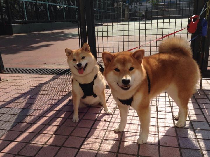 冰封风城，霍勒迪的压制艺术与纽约的铁血突围