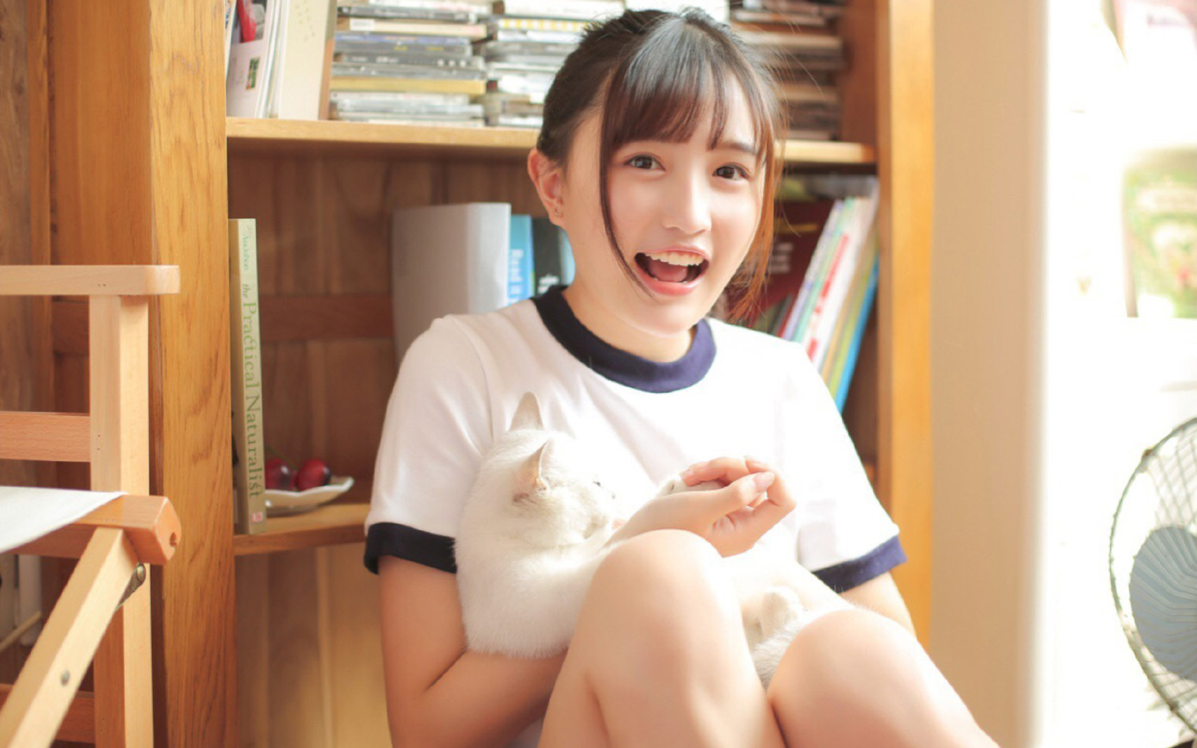 阴影与星光,从约基奇的救赎与篮网的压制,看胜利的两种抵达