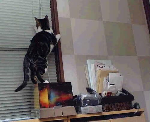 东方铁骑踏碎高原神话，广东队如何冲垮爵士的世界排名堡垒？