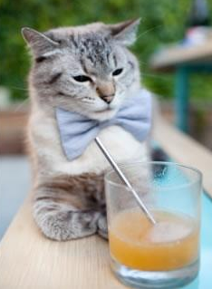 开云体育-从德甲争冠到地缘博弈，足球如何成为全球政治新赛场