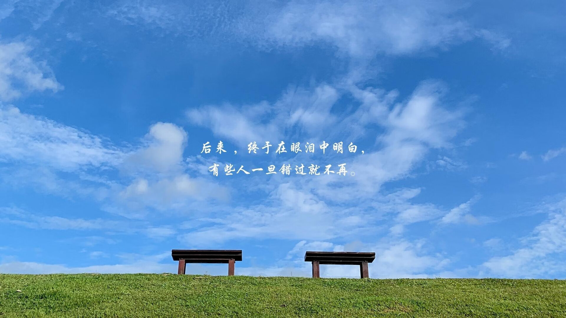 开云体育入口-越界—当锡安将欧冠的滔天声浪，踩成个人腾空的阶梯