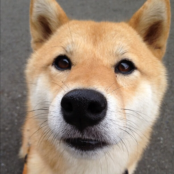 当孤独的星空遇见坚韧的地平线，文班亚马的焦点之夜与广厦队的沉默翻盘