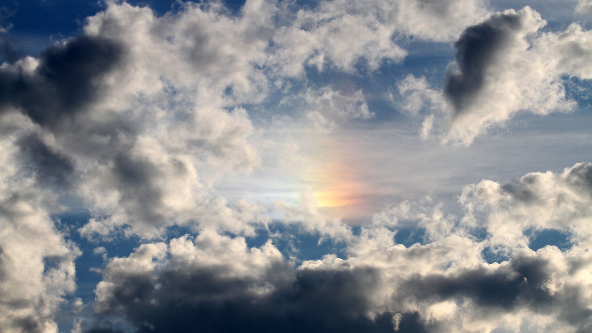 当灯光灼眼时他才睁开獠牙，锡安·威廉姆森的反季节统治力