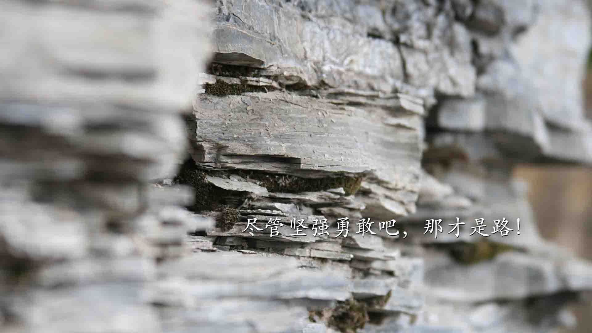 钢铁雄狮踏碎蓝迦太基,迪亚斯独舞,塞尔维亚以王者之姿宣告新王降临
