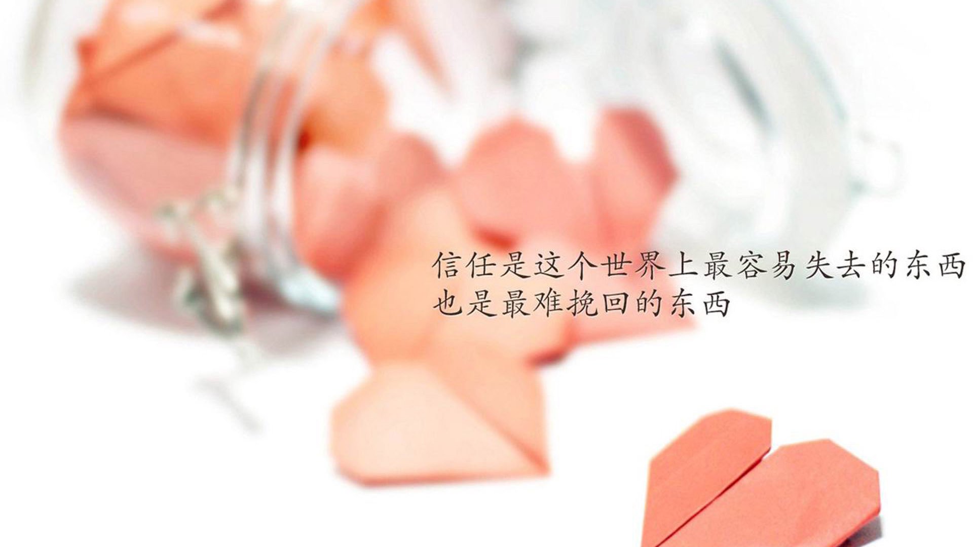 暗夜中的钢甲,当极致防守与孤胆英雄相遇在2026的B组